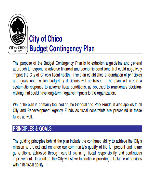 contingency budget plan example