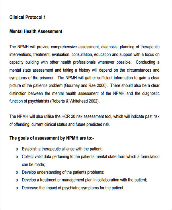 essay on assessment and care planning in mental health nursing