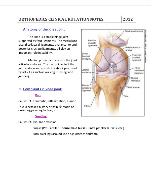 orthopedic clinic note1