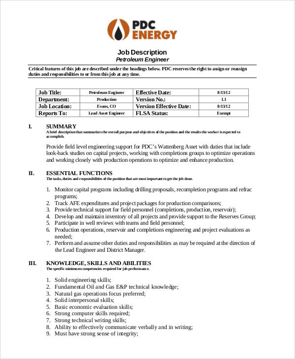 professional petroleum engineer job description