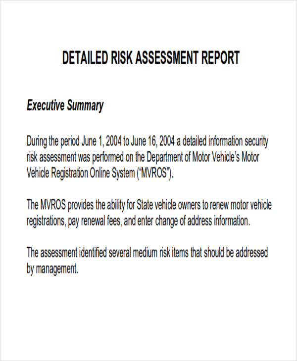 risk assessment report format sample