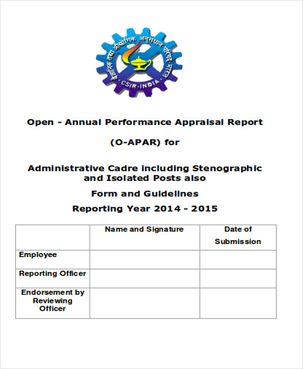 annual performance assessment report format