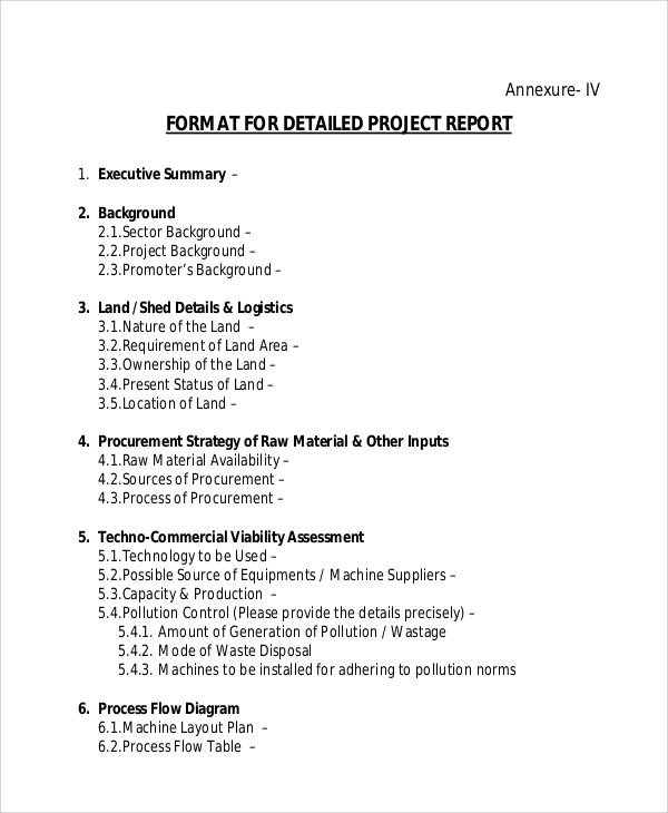 new business project report format