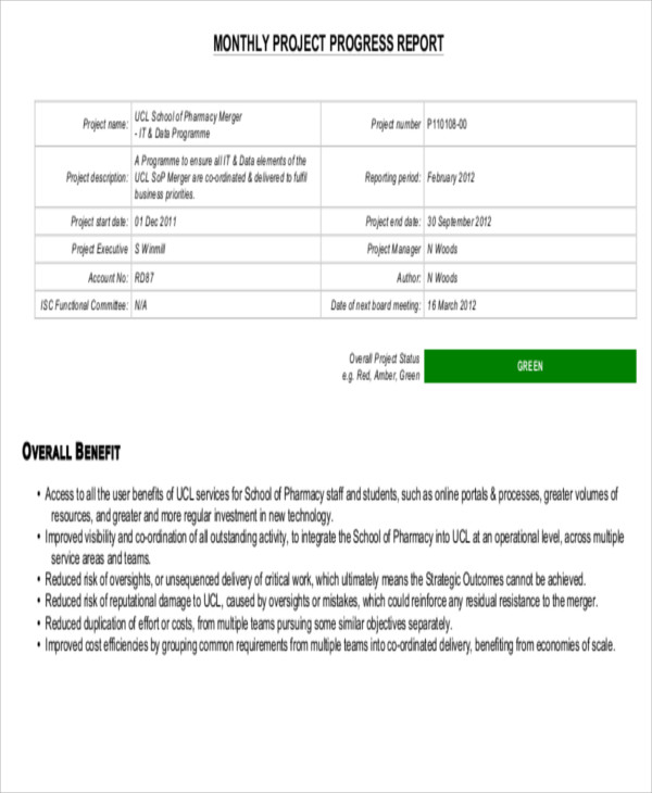 project monthly progress report