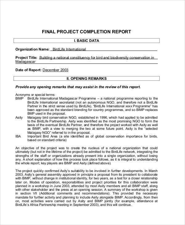 software project completion report sample