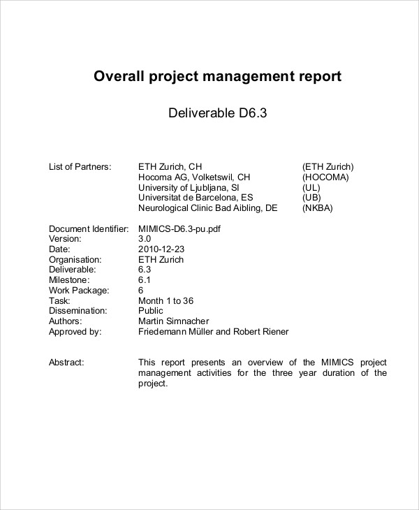 project management report example