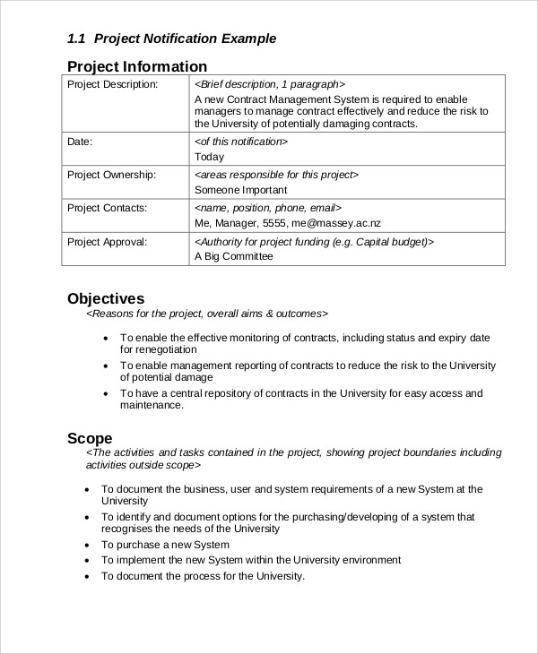 project management report format