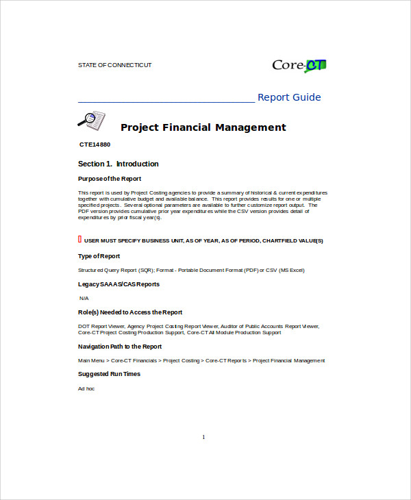 sample financial project report format