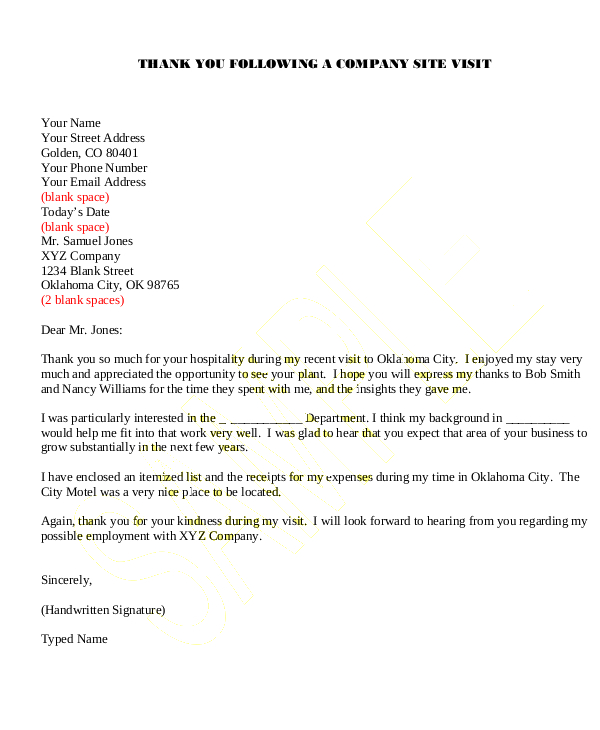 FREE 38+ Examples of Thank You Letter Templates in MS Word PDF