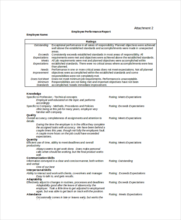 FREE 16 Sample Performance Reports In MS Word Google Docs Apple Pages