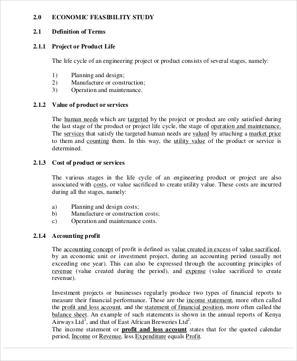 economic feasibility report