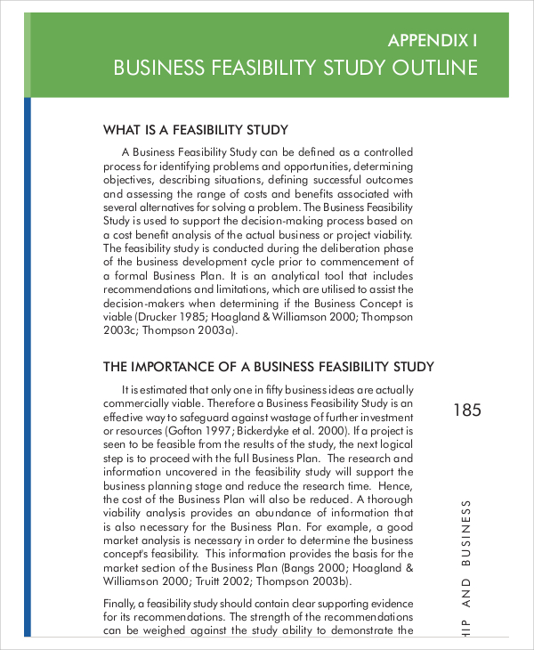 feasibility business plan sample pdf