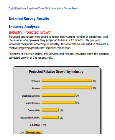 labor market survey report