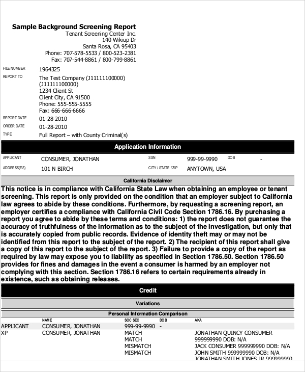 sample background screening report