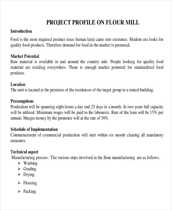 business plan project report format