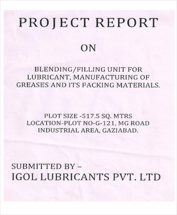industrial project report
