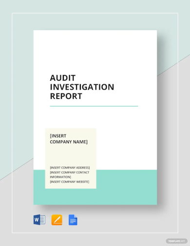audit investigation report template