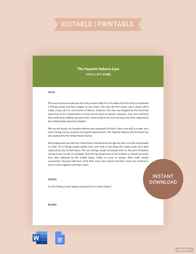 case brief essay template