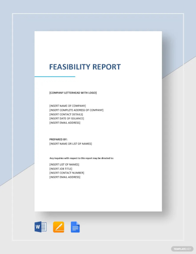 feasibility report template2
