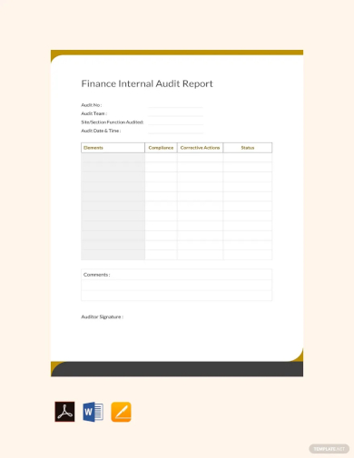 finance internal audit report template