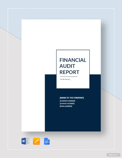 financial audit report template1