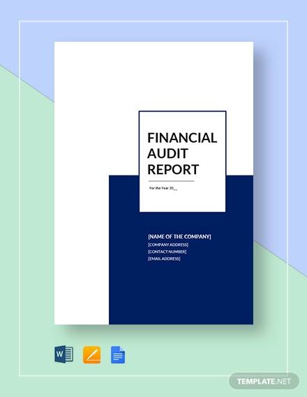financial audit report1