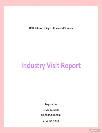 industry visit report template