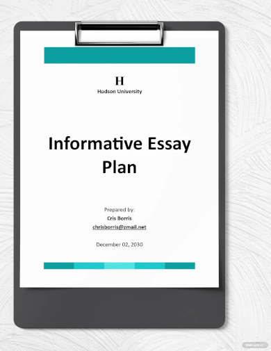 informative essay template