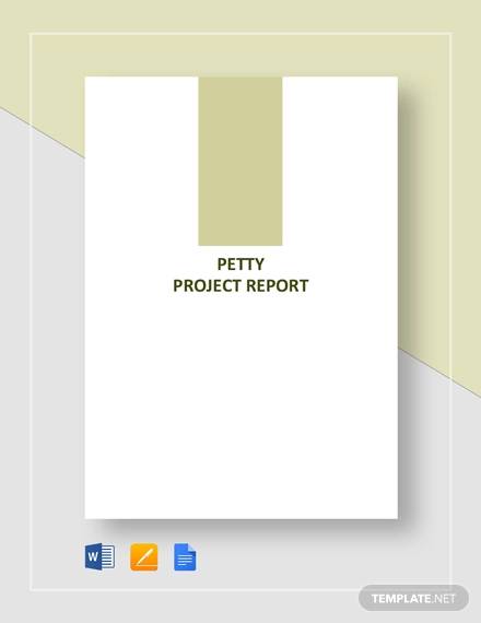 petty project report