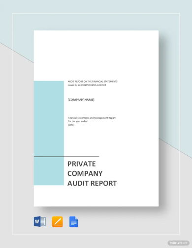 private company audit report sample template