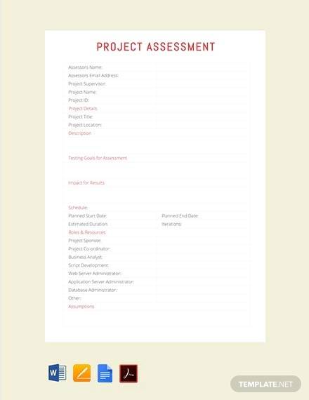 project assesment sample
