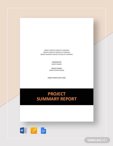 project summary report