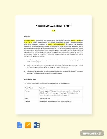 project report on insurance company pdf