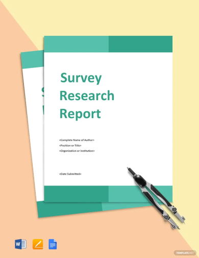 survey research report template