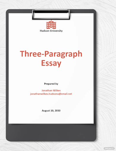 three paragraph essay pdf