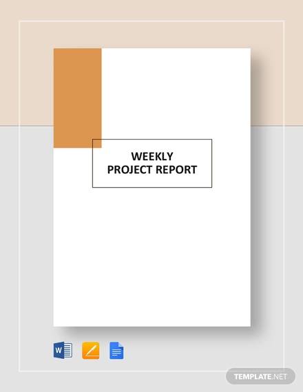 weekly project report