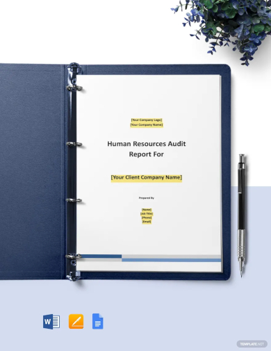 workers compensation audit report template