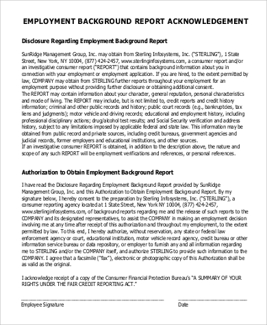 employment background report example