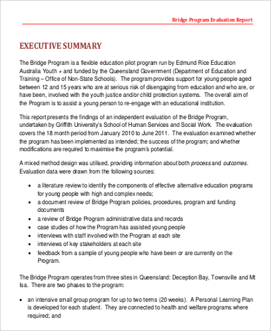 program evaluation sample report