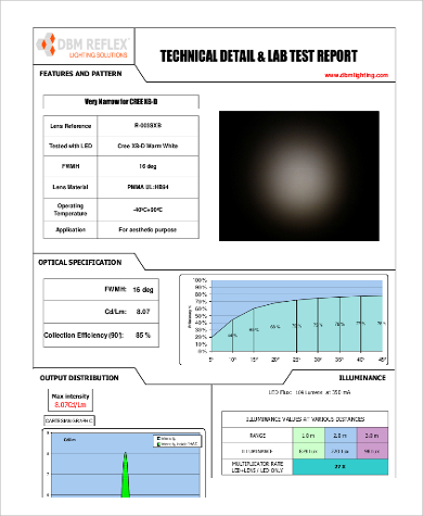 technical lab report