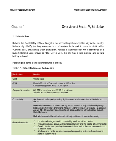 project feasibility report