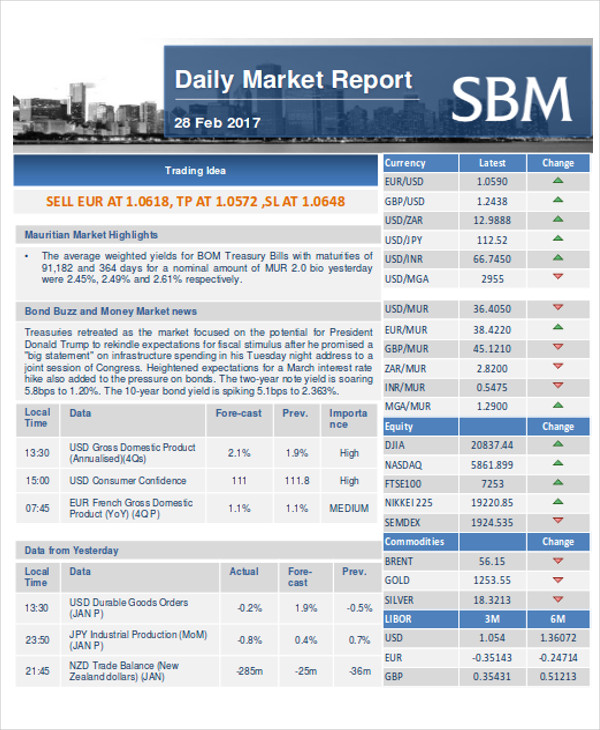 marketing daily report format