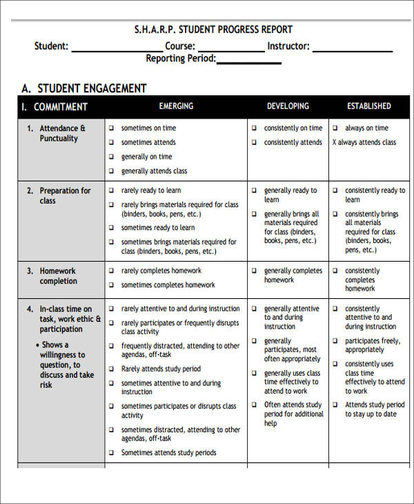 11 Sample Student Report Free Sample Example Format Download   Student Progress Report PDF 