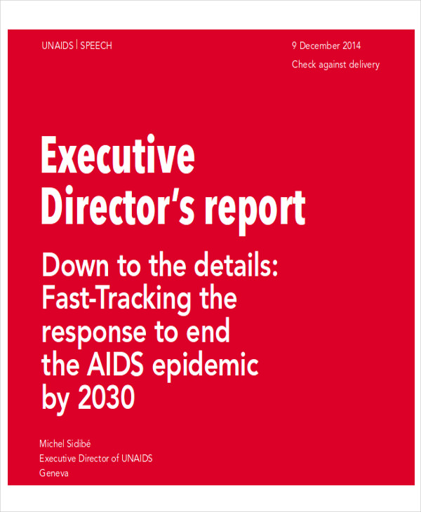 executive director report