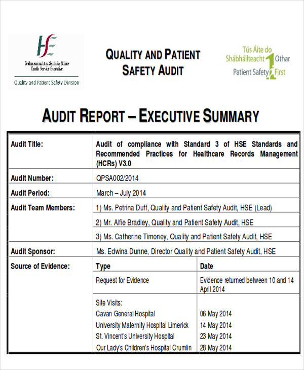 audit executive report free