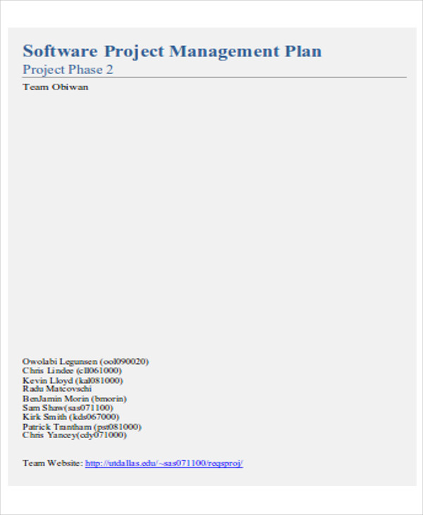 software project management report example