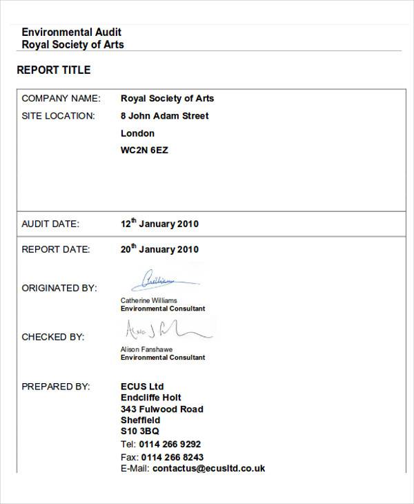 environmental audit report example