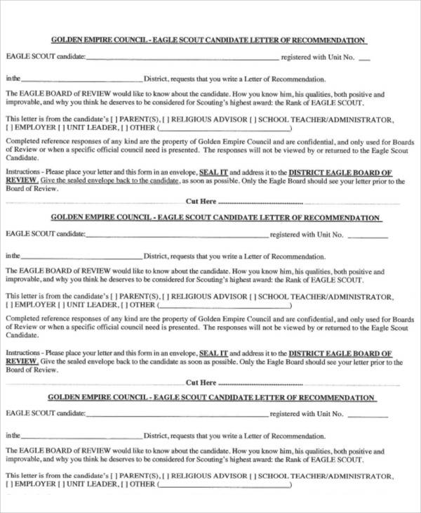 Bsa Eagle Reference Letter