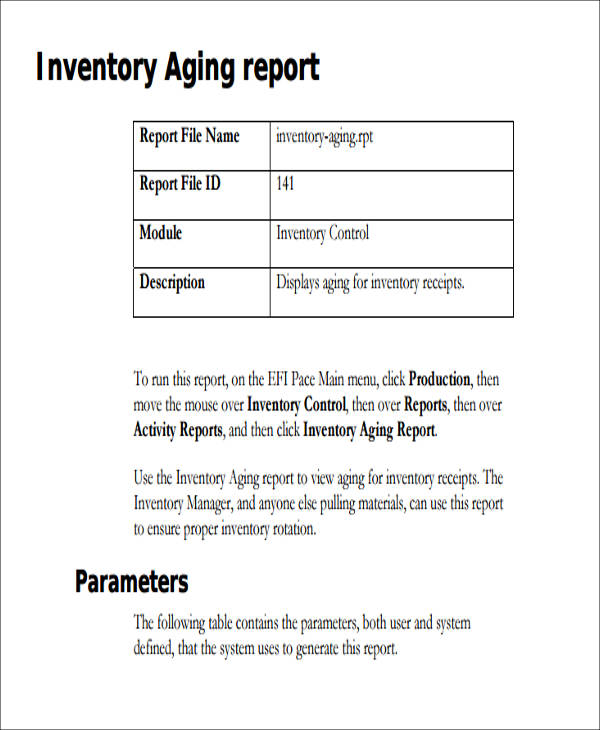 aging inventory report format