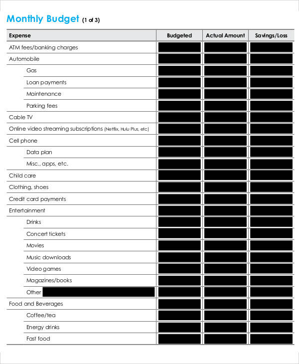 monthly expenses budget form